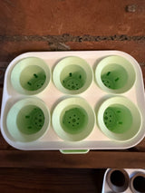 Self-Watering Seed Starter Kit