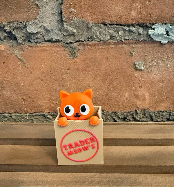 Kitty Box Clicker Fidget